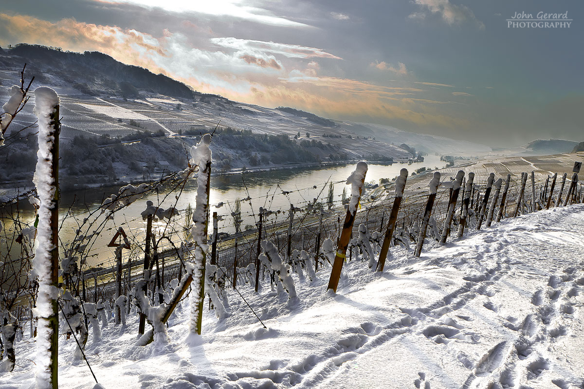 Abendlicht an der Mosel