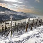 Abendlicht an der Mosel