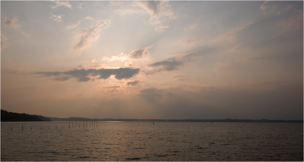 Abendlicht an der Müritz