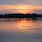 Abendlicht an der Müritz, ein tolles Urlaubsgebiet!