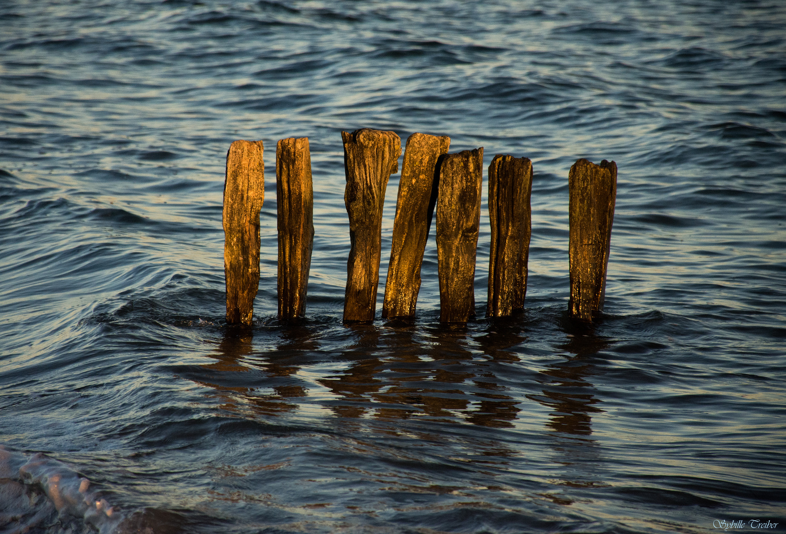 Abendlicht an der Ostsee