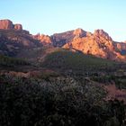 Abendlicht auf das "Massif de l'Esterel"