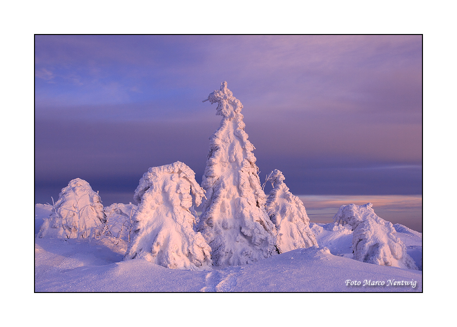 Abendlicht auf dem Fichtelberg