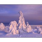 Abendlicht auf dem Fichtelberg