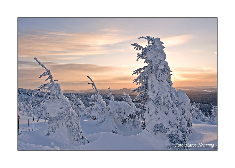 Abendlicht auf dem Fichtelberg 2