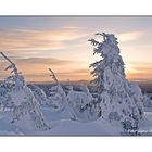 Abendlicht auf dem Fichtelberg 2