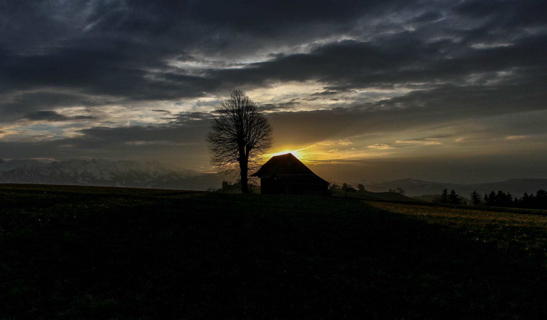 Abendlicht auf der Allmend