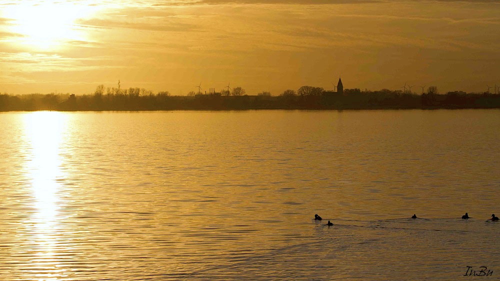 Abendlicht auf der Wieck