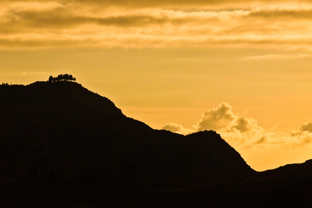 Abendlicht bei Arure