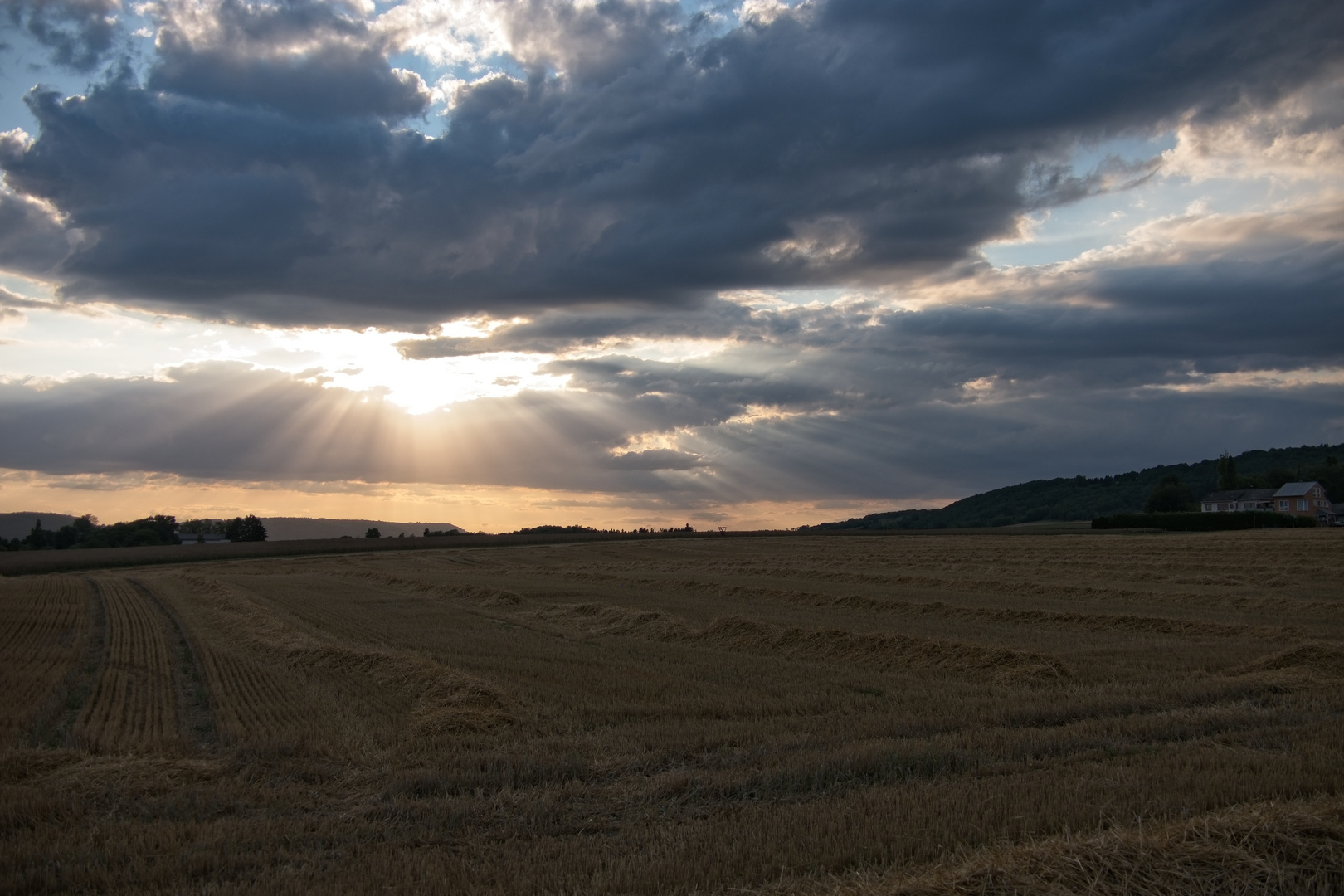 Abendlicht bei der Hunderunde