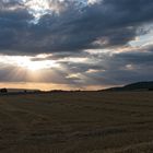 Abendlicht bei der Hunderunde