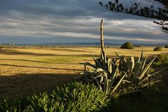 Abendlicht bei Napier