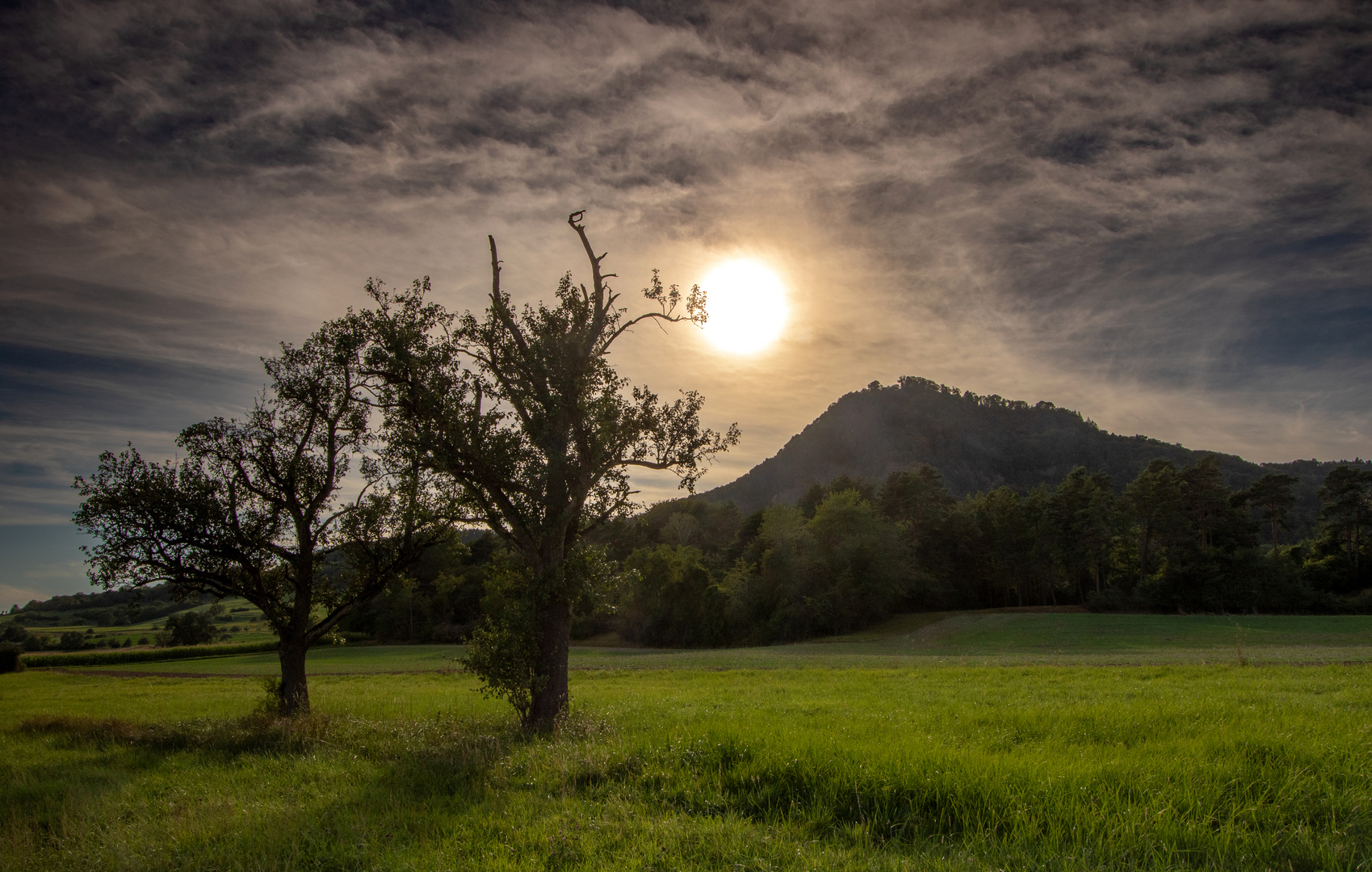 Abendlicht