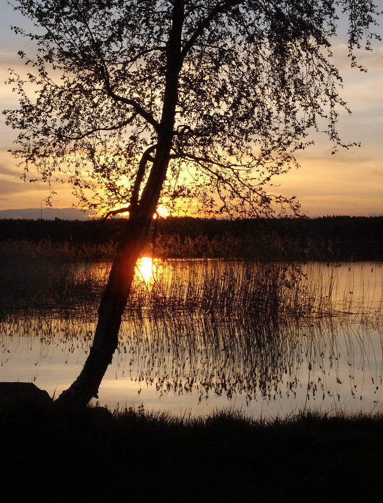 Abendlicht