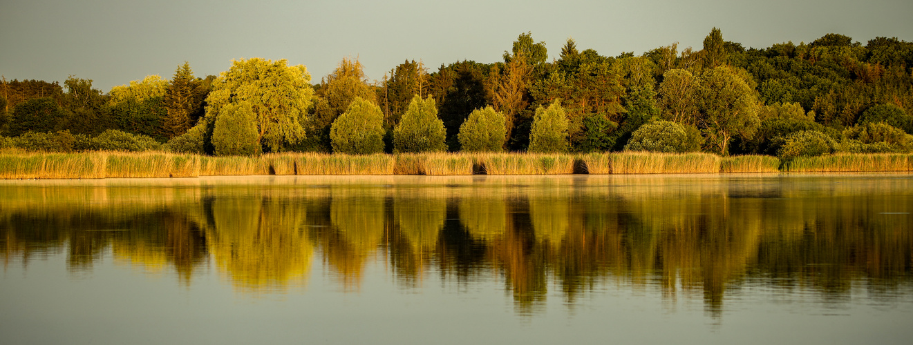 Abendlicht