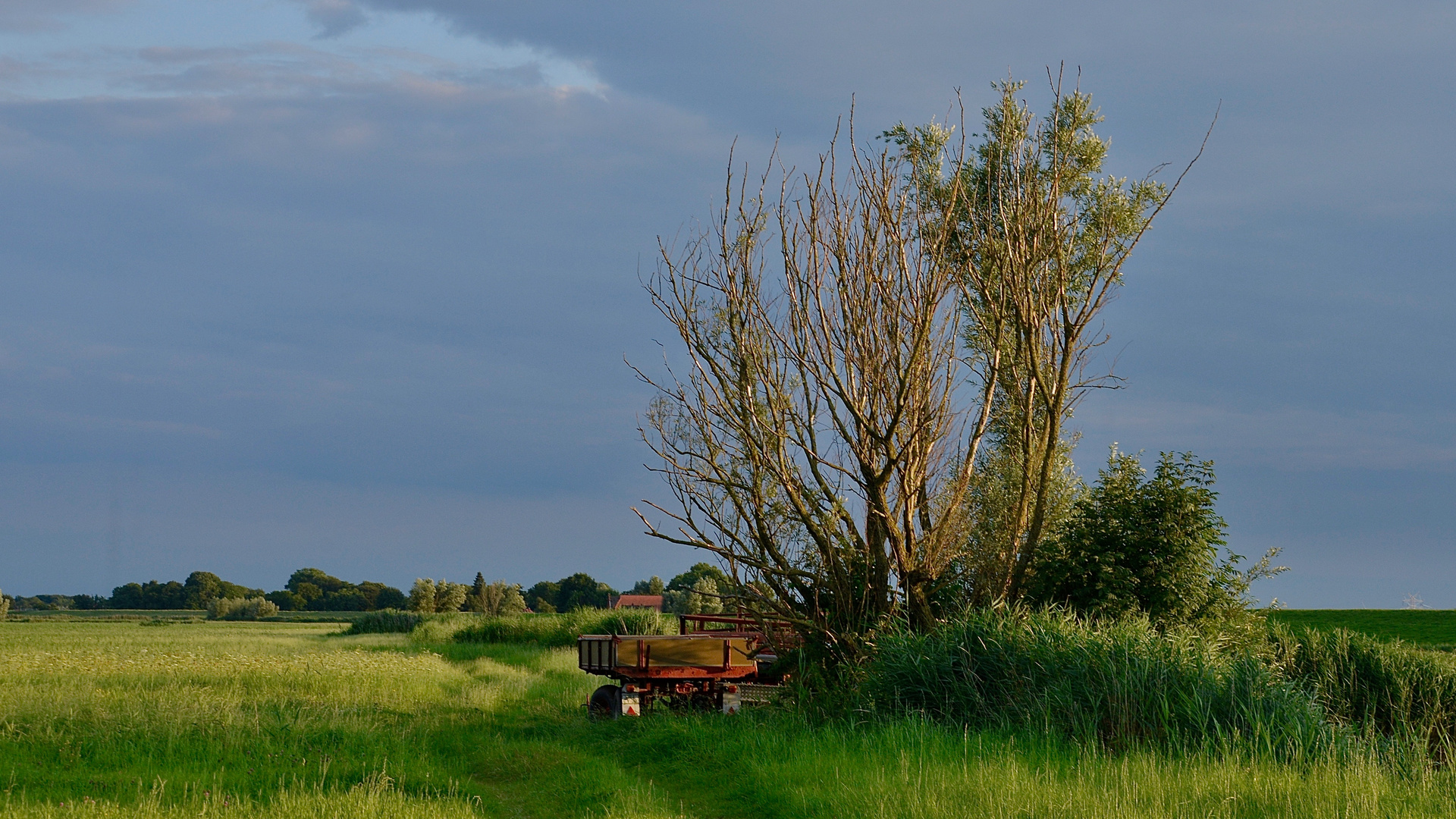 Abendlicht 