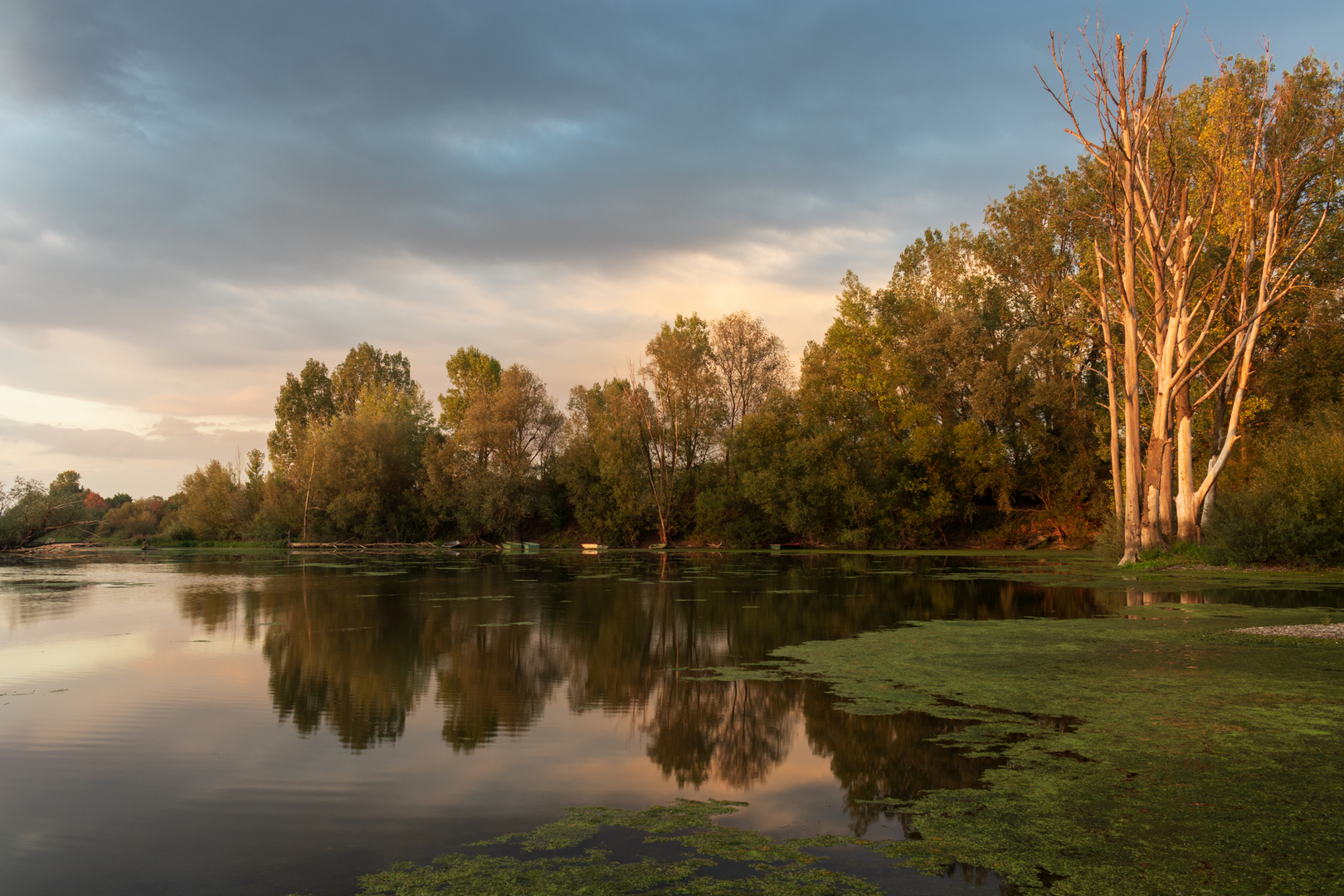 Abendlicht