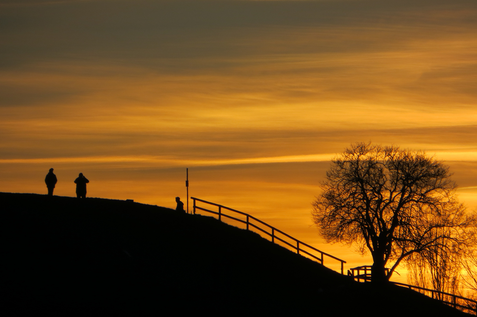 Abendlicht