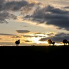 Abendlicht, der Tag geht zu Ende