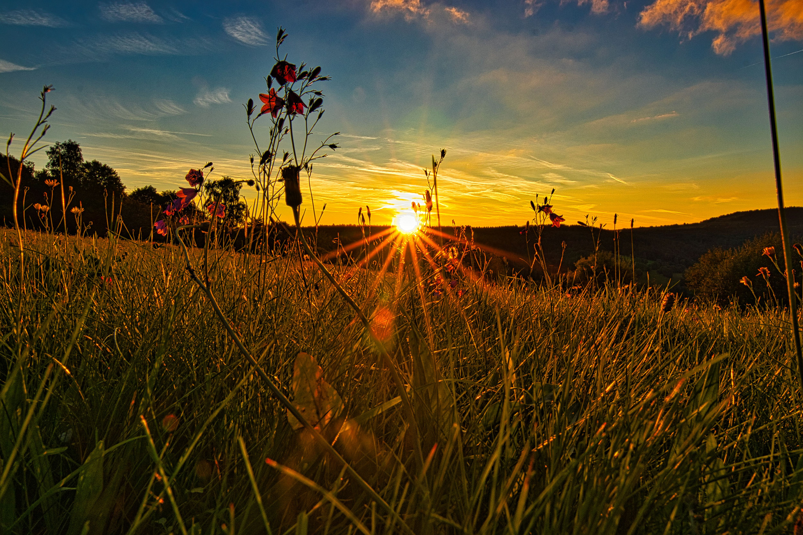 Abendlicht