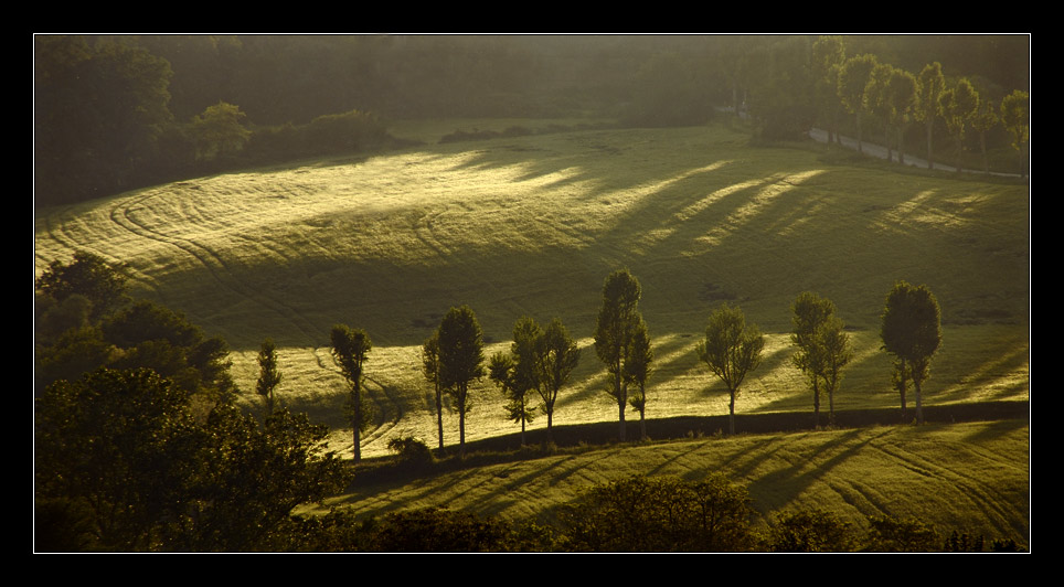 Abendlicht