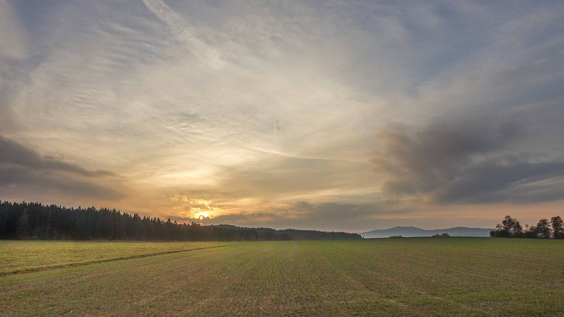 Abendlicht