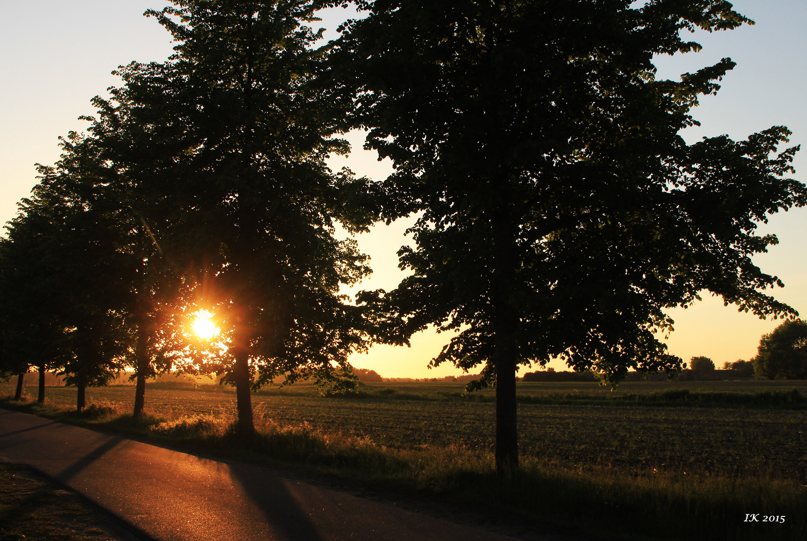 Abendlicht