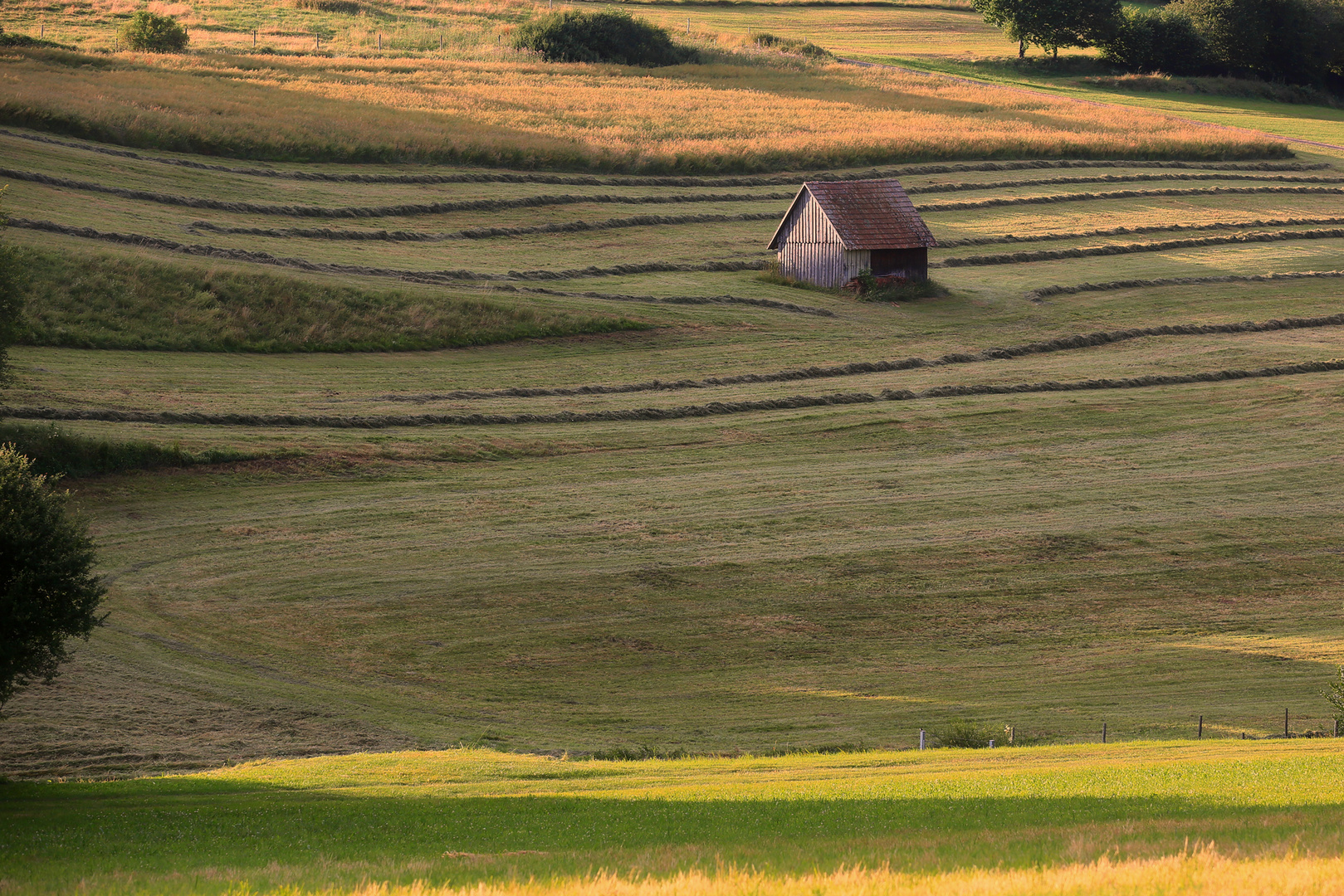 Abendlicht & Heugeruch