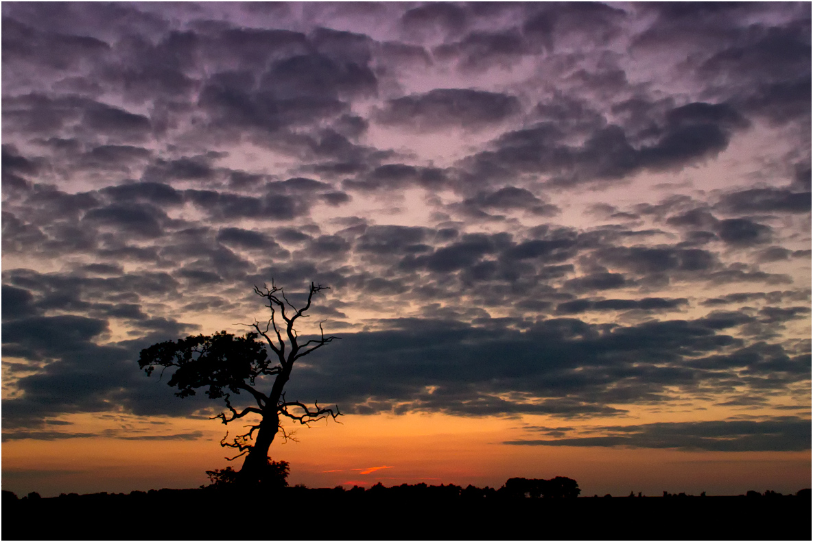 AbendLicht II