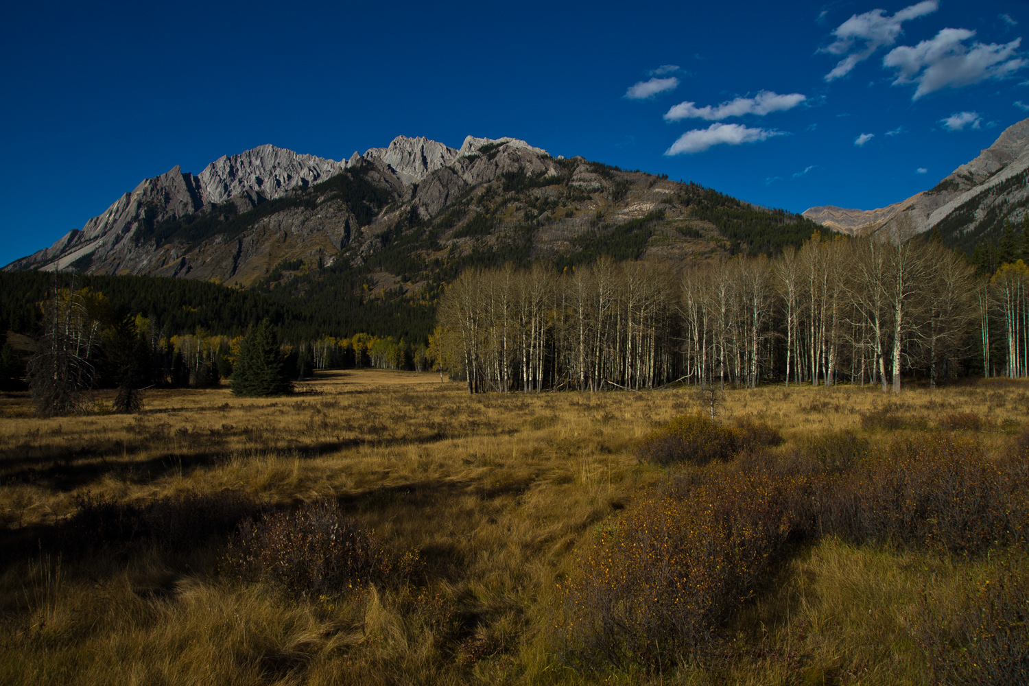 Abendlicht im Bow Valley , nahe Banff