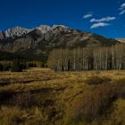 Abendlicht im Bow Valley , nahe Banff