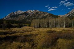 Abendlicht im Bow Valley , nahe Banff