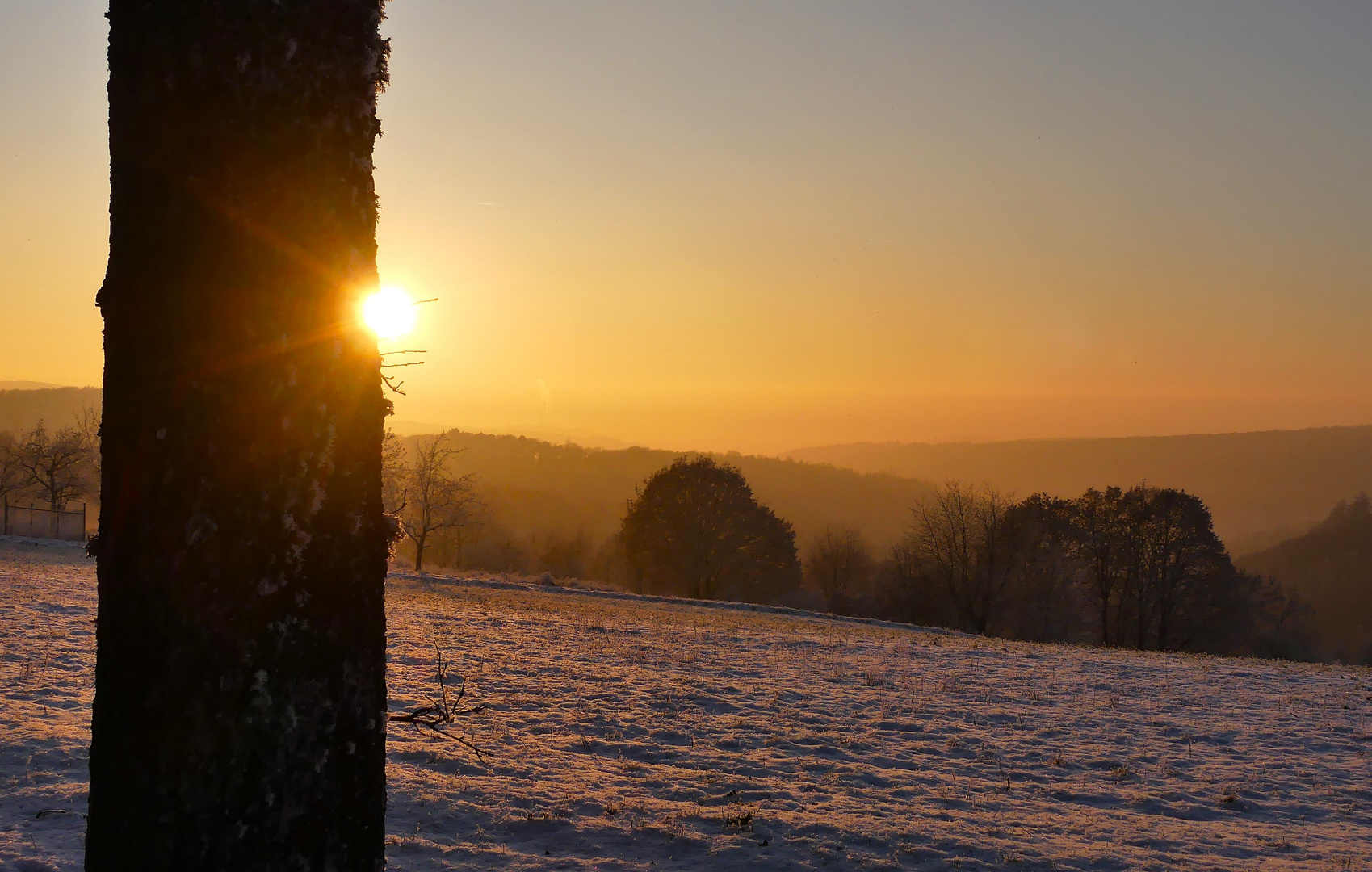 Abendlicht im Dezember