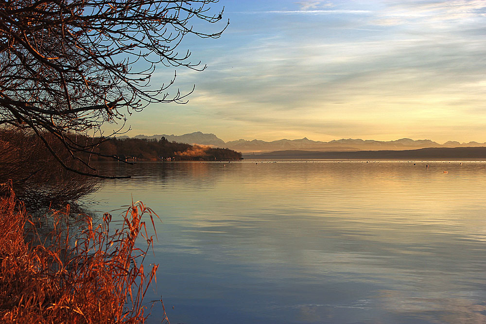 Abendlicht im Dezember