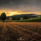 Abendlicht im Emmental