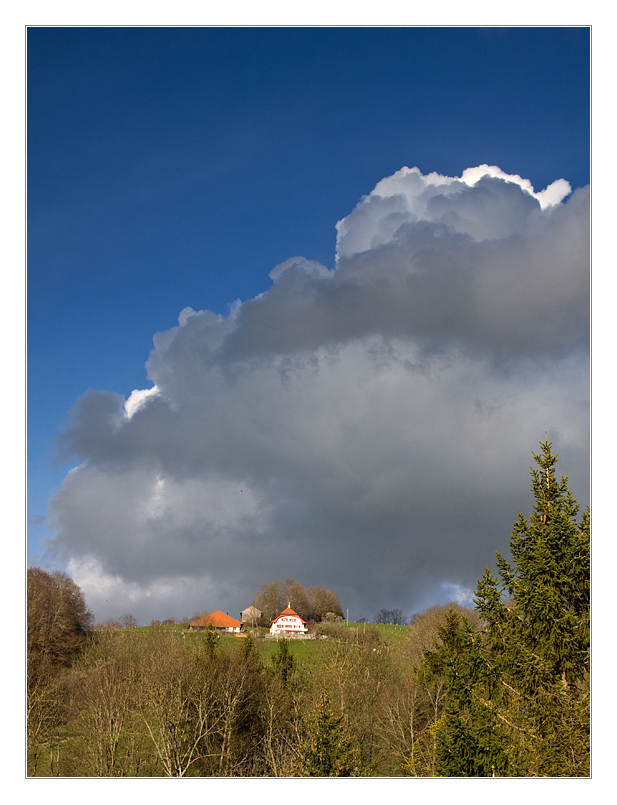 Abendlicht im Fribourger Land