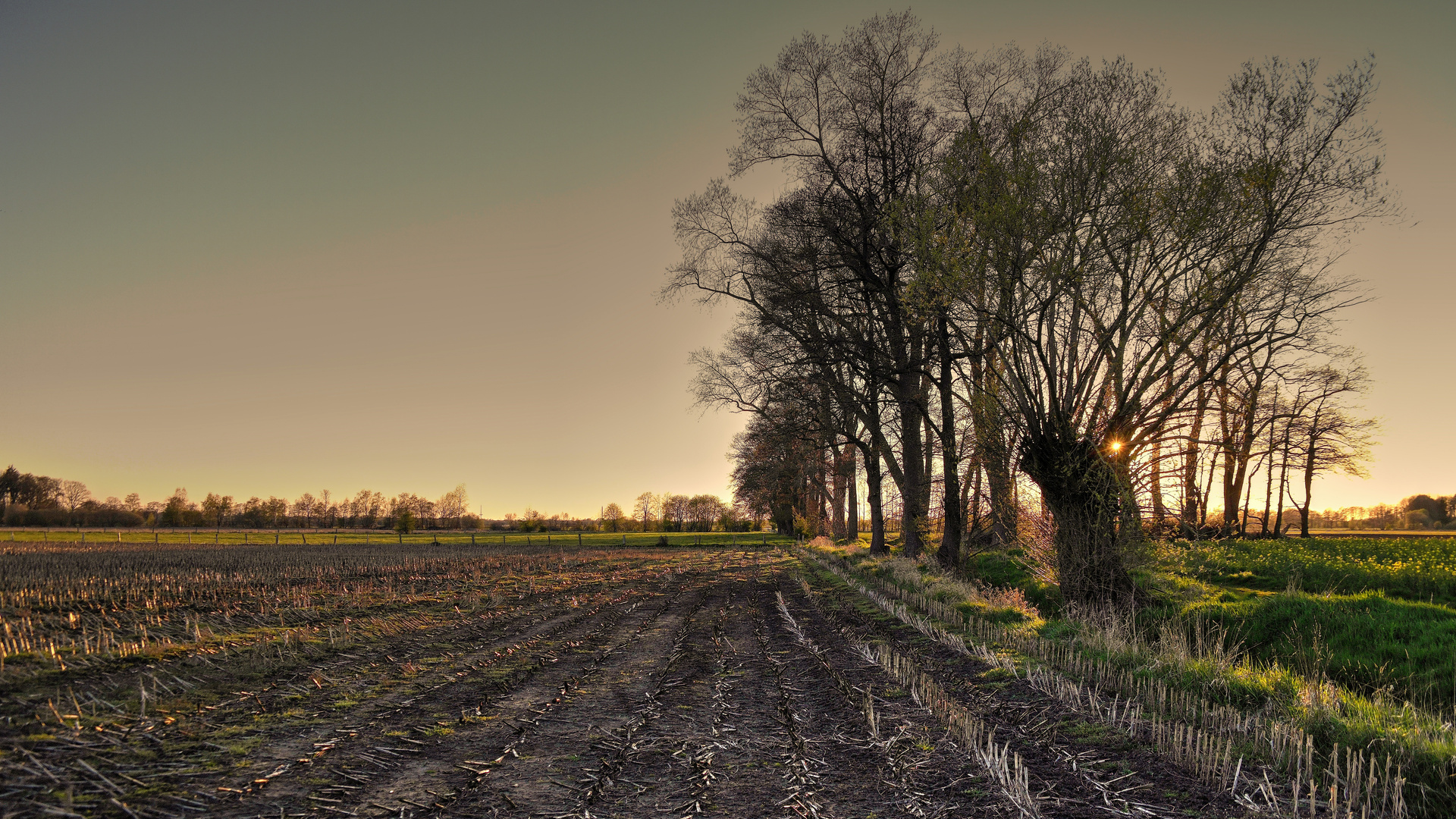 Abendlicht im Frühling