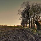 Abendlicht im Frühling