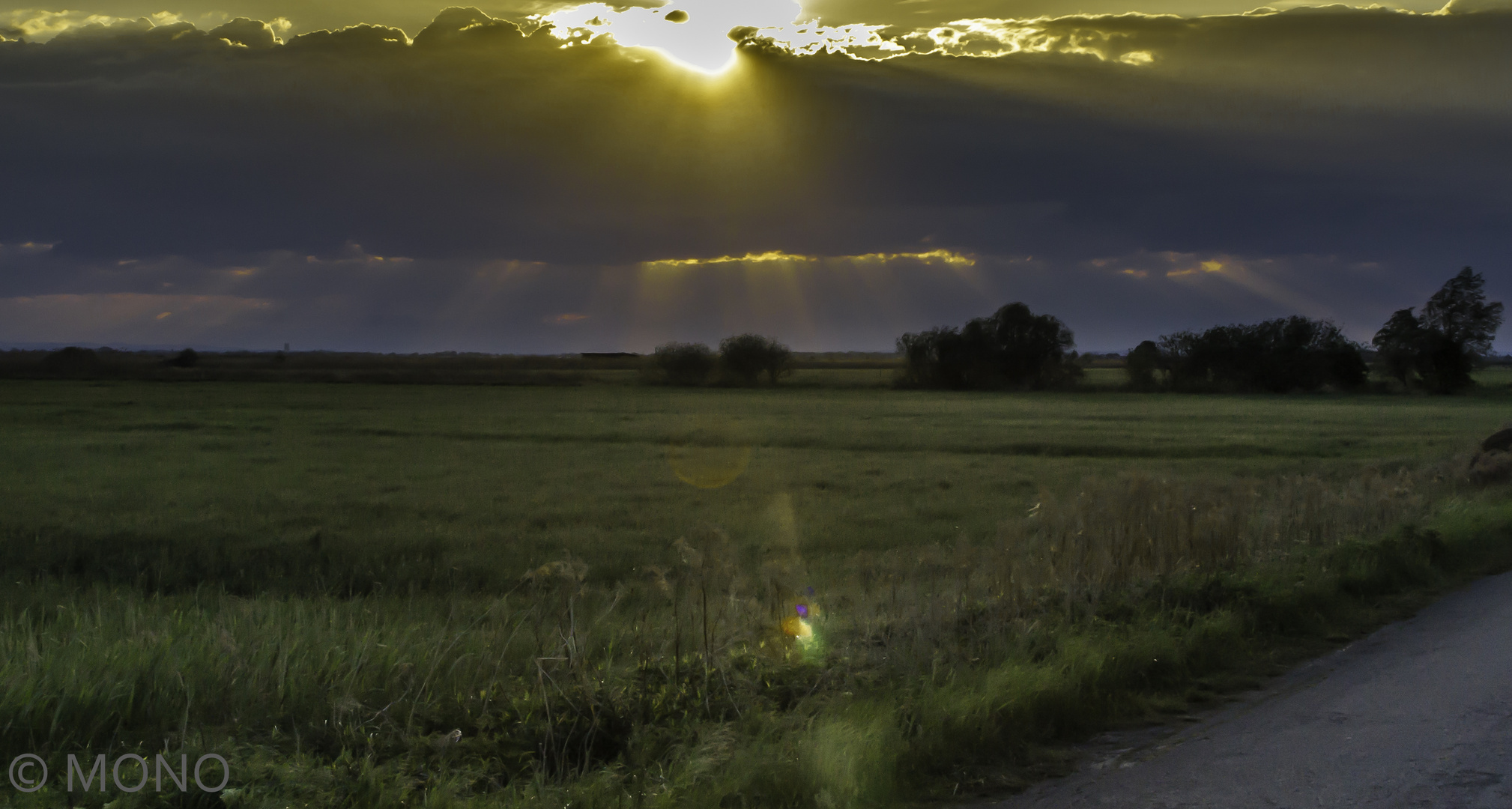 Abendlicht im Hansag