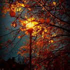 Abendlicht im Herbst