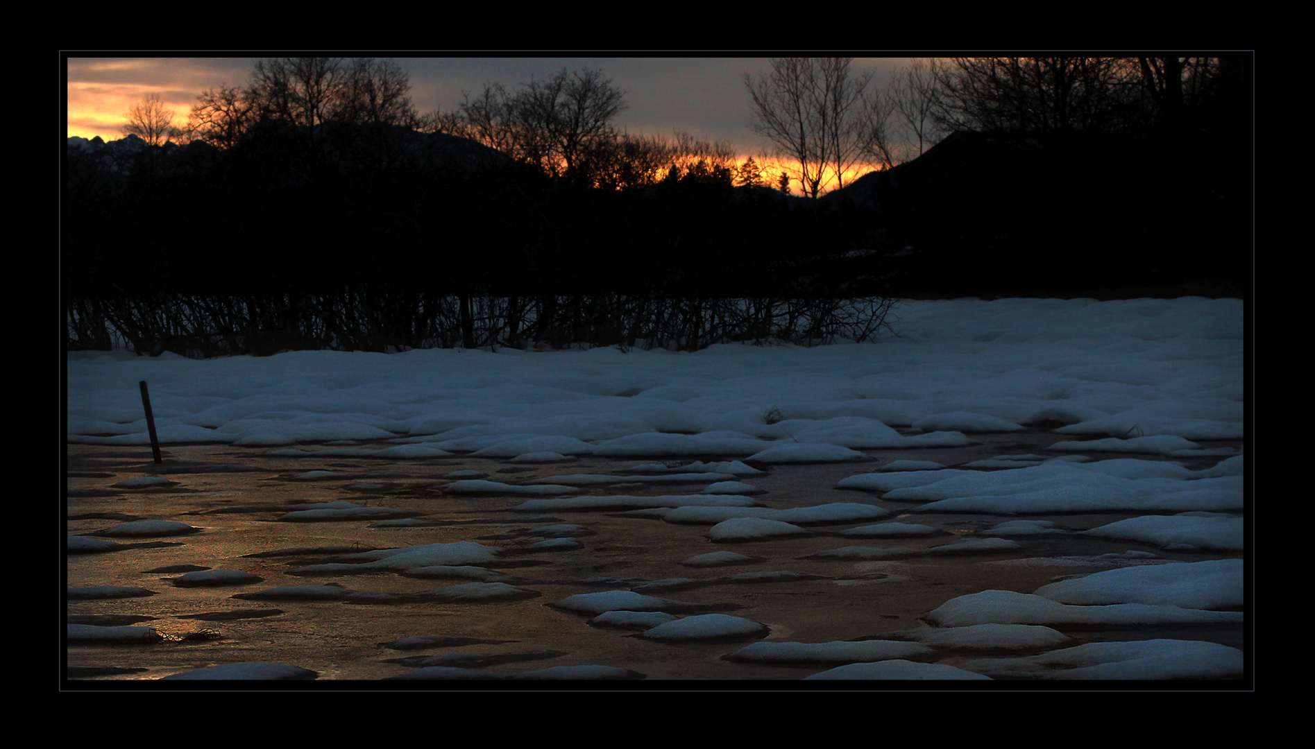 Abendlicht im Moor ...