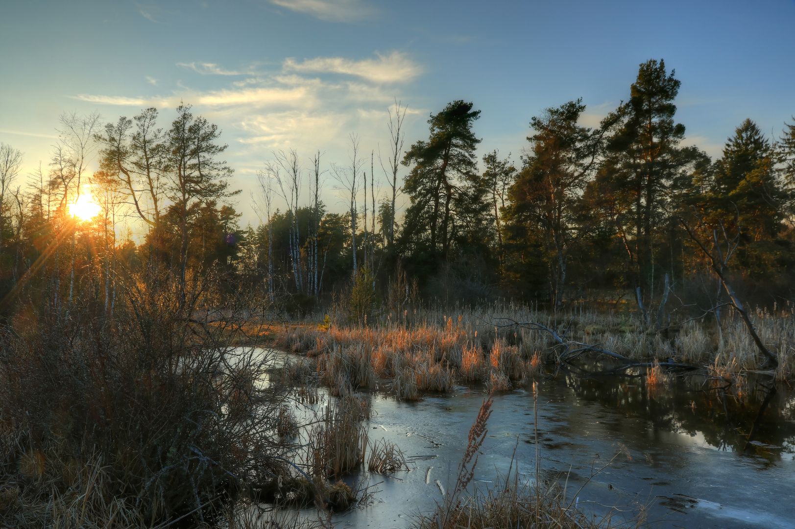 Abendlicht im Moor