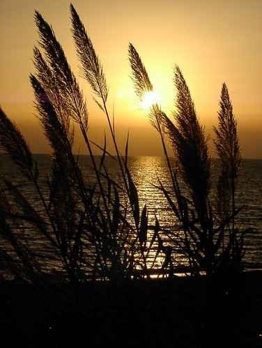 Abendlicht im Morgenland