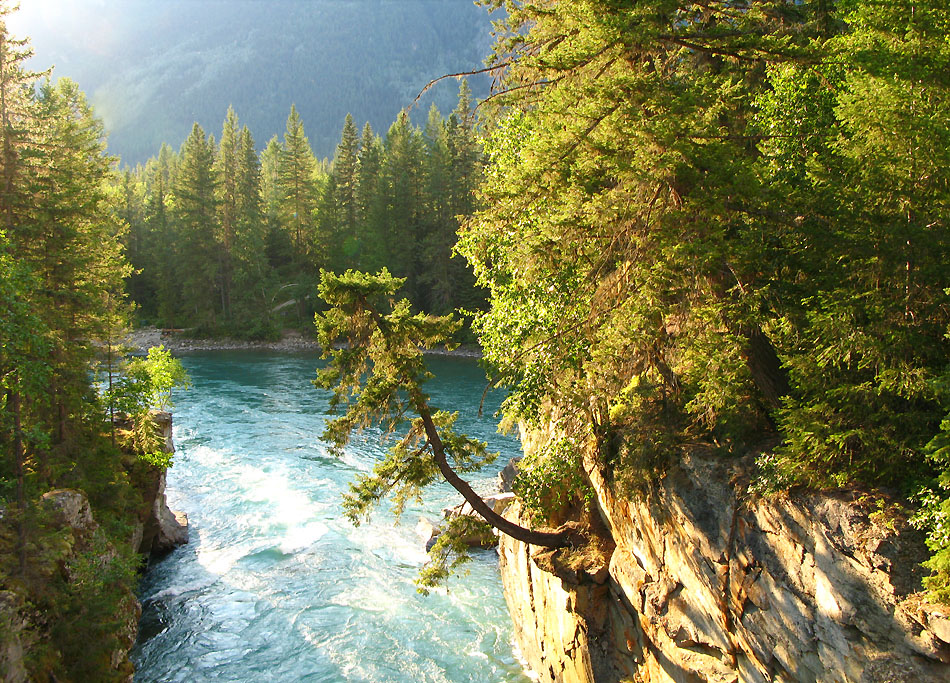 Abendlicht im Mt.Robson N.P.