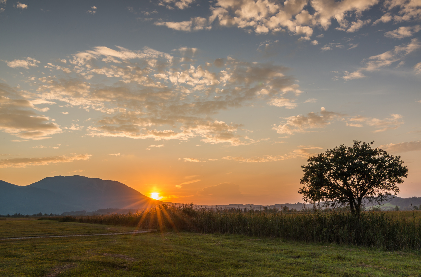 Abendlicht im Murnauer Moos