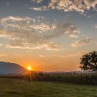 Abendlicht im Murnauer Moos