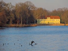 Abendlicht, im Neuen Garten - Potsdam