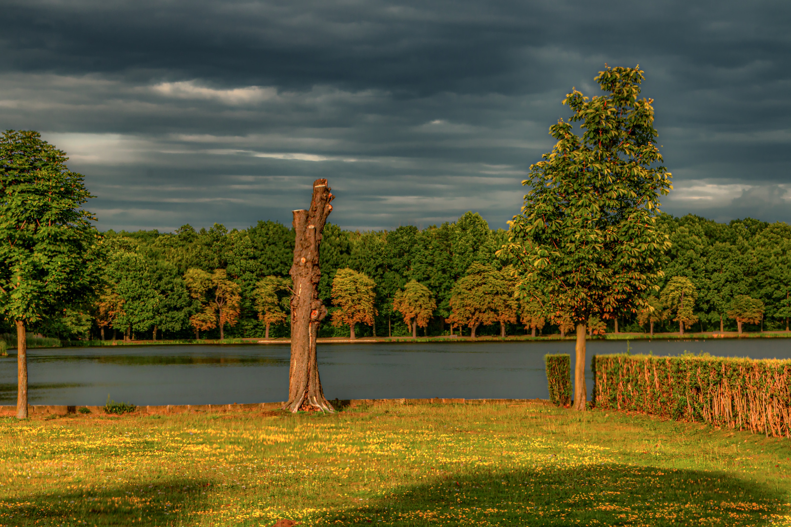 Abendlicht im Park der Moritzburg