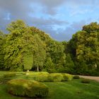 Abendlicht im Park Wiesenburg (1)