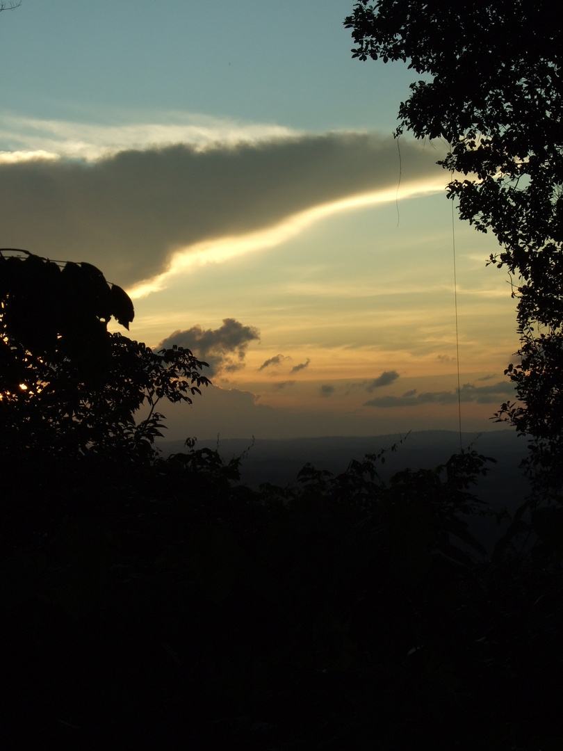 Abendlicht im Regenwald